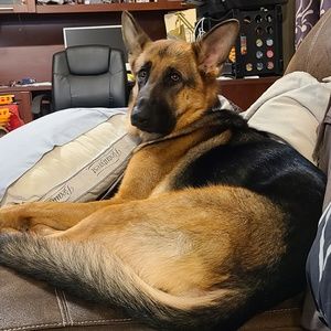 Meet your Posher, Alexis